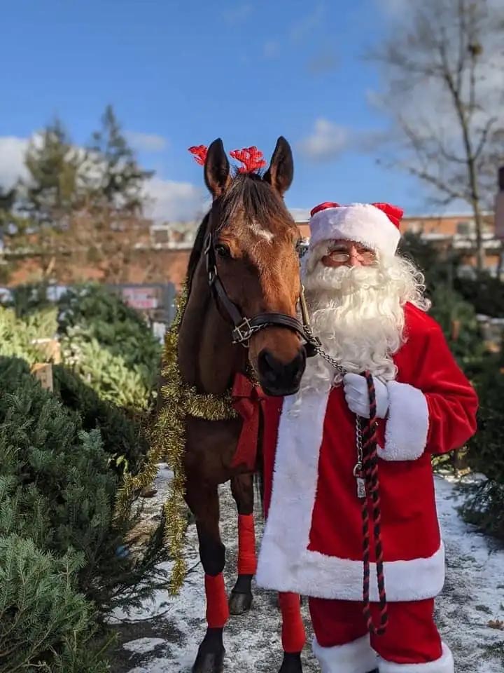 Here Comes Santa Horse